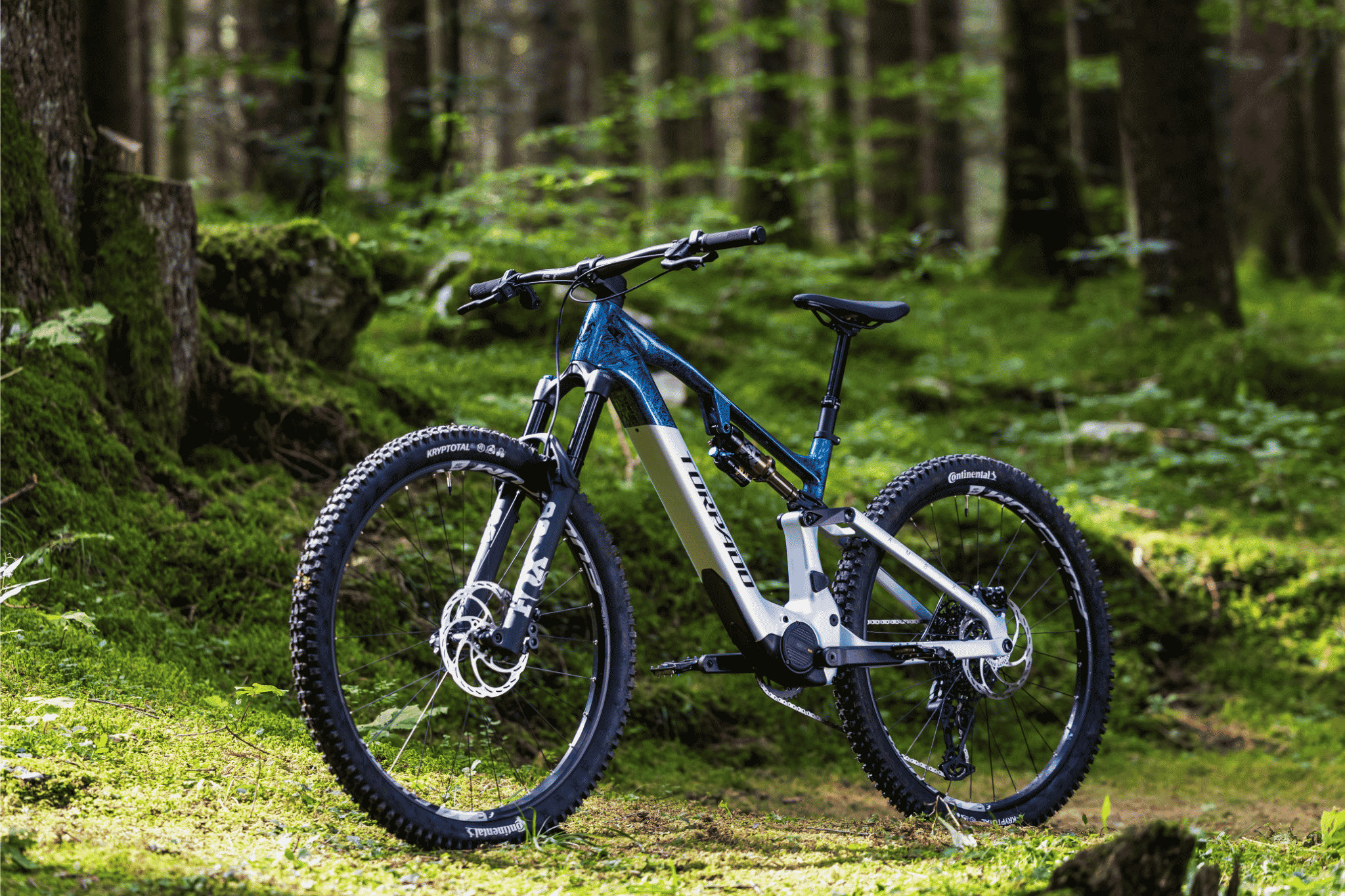 Torpado AMB-X Avinox vista laterale del telaio in carbonio
